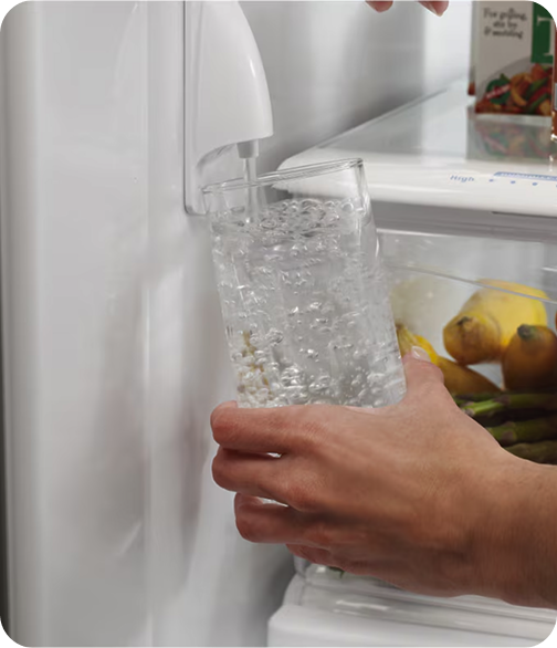 Benefits of Refrigerator Filters